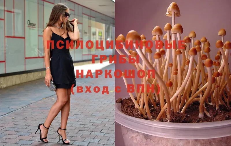 ОМГ ОМГ онион  Апрелевка  Псилоцибиновые грибы MAGIC MUSHROOMS 